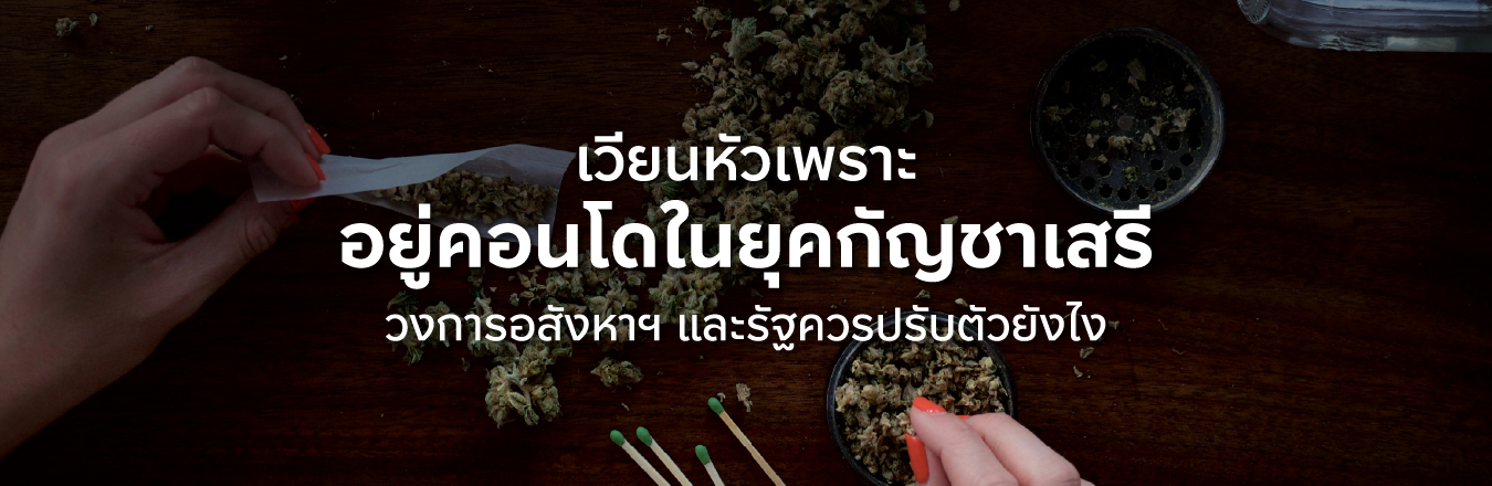 เวียนหัวเพราะอยู่คอนโดในยุคกัญชาเสรี…วงการอสังหาฯ และรัฐควรปรับตัวยังไง