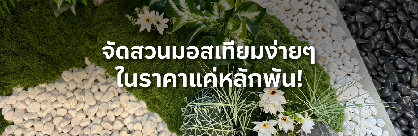 จัดสวนมอสเทียมง่ายๆ ในราคาแค่หลักพัน!